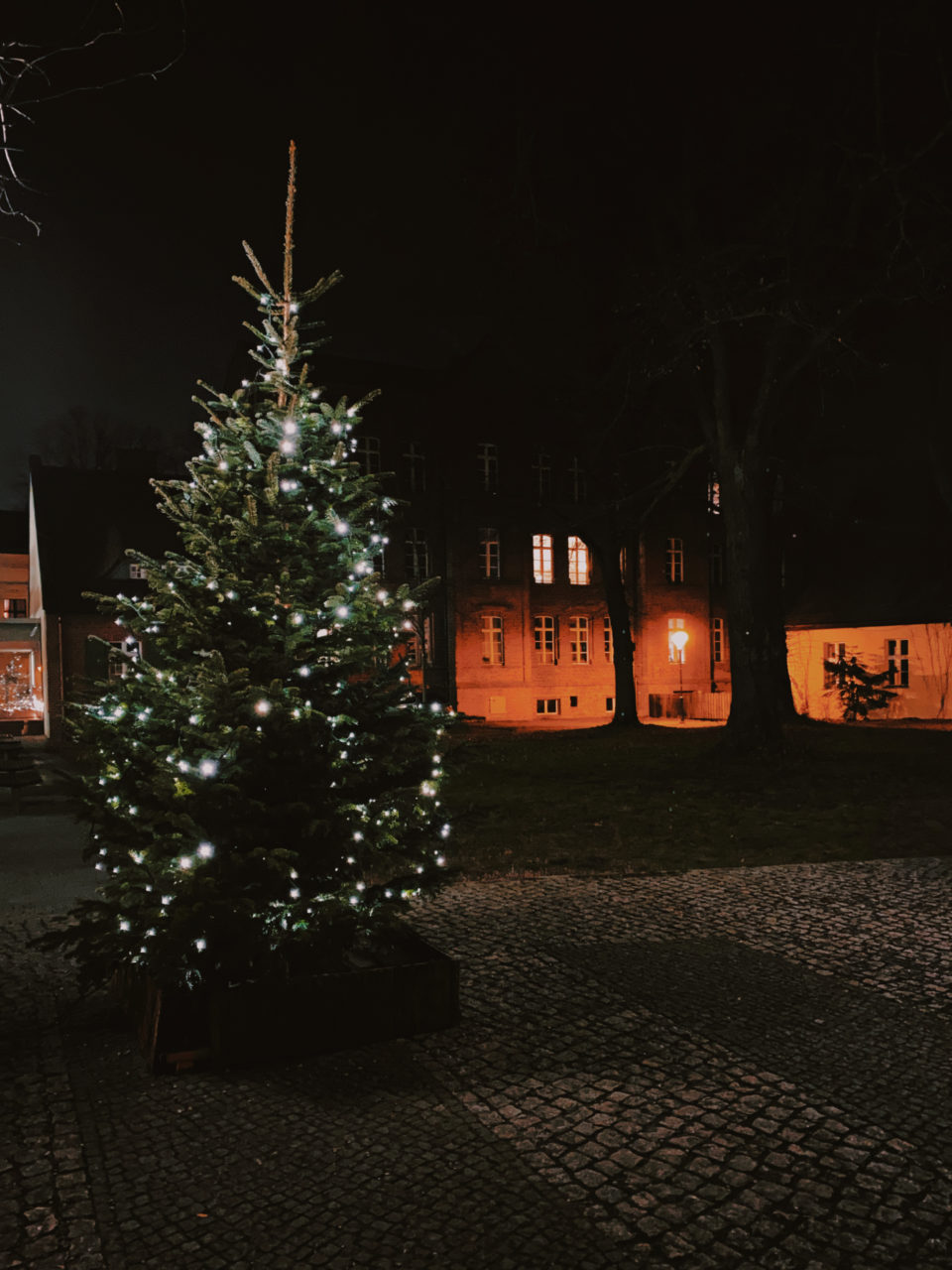 Weihnachtsbaum in Köpenick, 2020