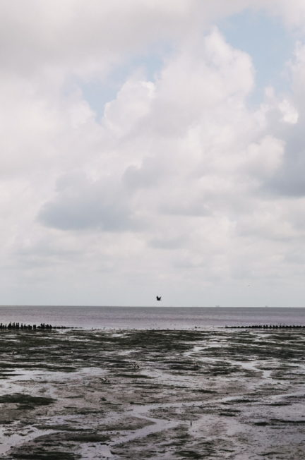 Unvergesslicher Urlaub auf Amrum: Entdecke die Schönheit der Nordseeinsel